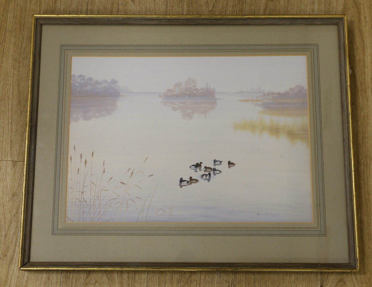 Philip Rickman (1891-1982), watercolour, Ducks upon a tranquil lake, signed, 36 x 52cm - Image 2 of 2