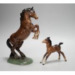 Two Beswick models of horses, one rearing and the other a foal. Tallest 27cm