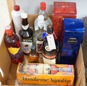 12 various bottles of spirits including brandy, vodka and whisky