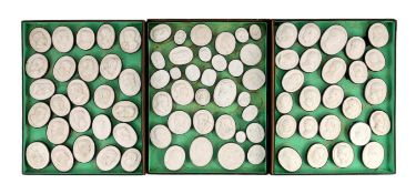 A cased set of eighty three Italian Grand Tour plaster roundels after intaglios of various subjects,