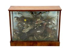 A Victorian taxidermic display of exotic and other birds, in naturalistic setting by Ruffon &