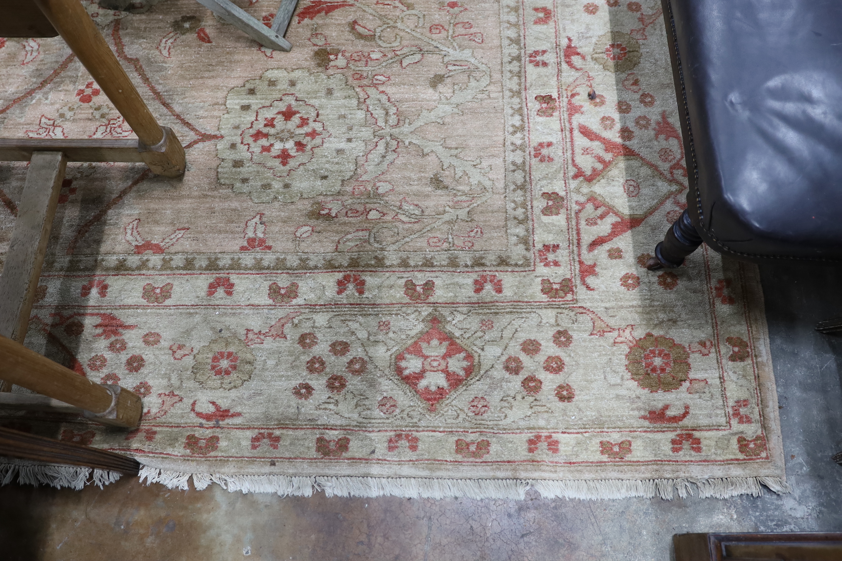 A Zeigler style ivory ground carpet, 380 x 280cm - Image 4 of 5