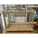 A Victorian giltwood and composition display case, width 97cm, depth 45cm, height 83cm