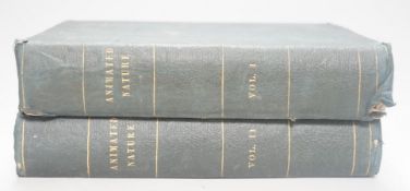 ° ° A History of The Earth and Animated Nature by Oliver Goldsmith, 2 vols