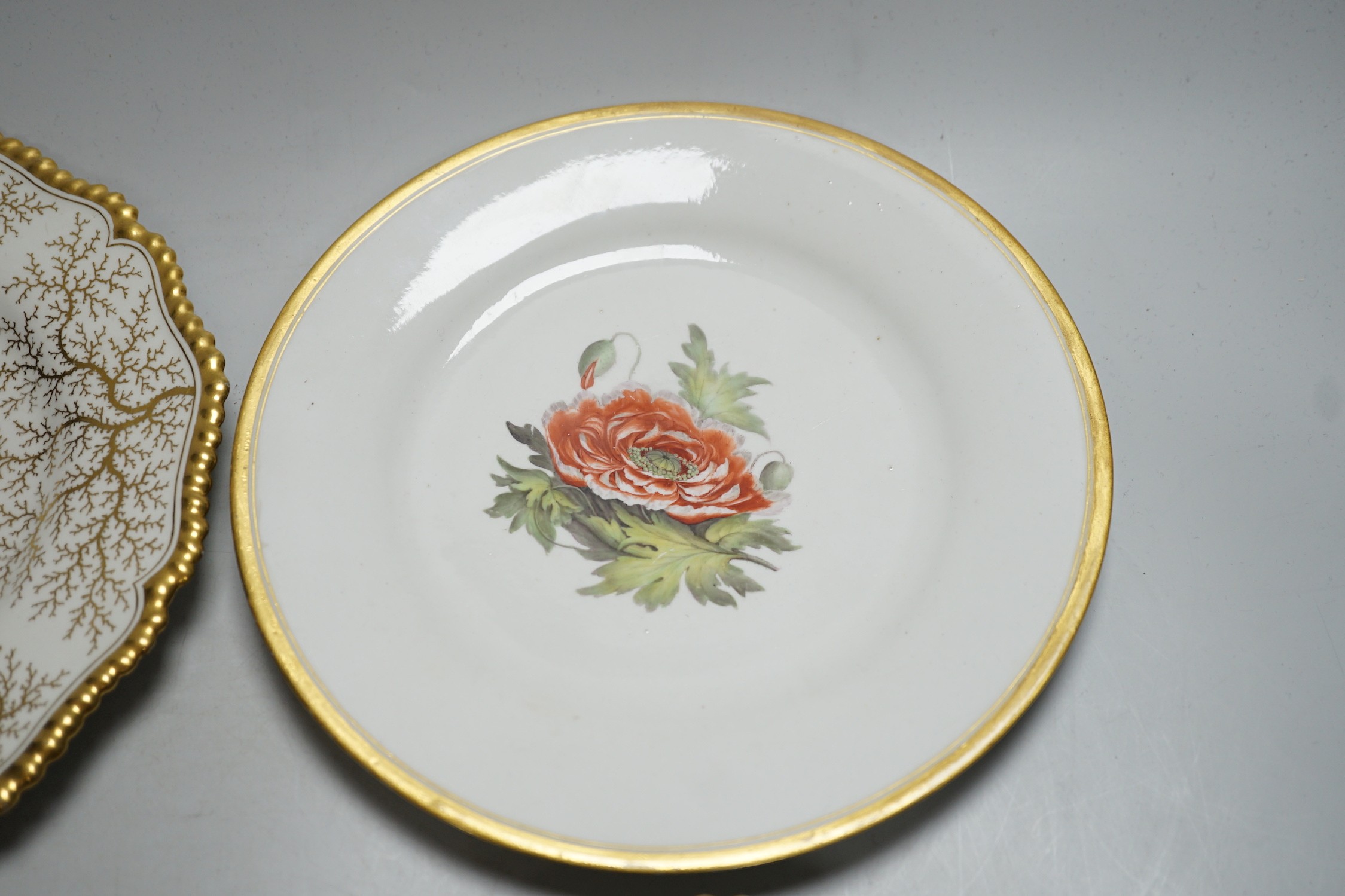 A Chamberlain's Worcester floral plate, and three Barr Flight & Barr plates, largest 22.5 cm - Image 3 of 8