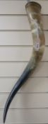 A large Florentine horn. Approx 70cm tall