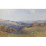 Frederick Tucker (fl.1880-1915), watercolour, Sheep on the Sussex Downs, signed, 43 x 69cm