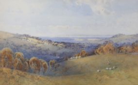 Frederick Tucker (fl.1880-1915), watercolour, Sheep on the Sussex Downs, signed, 43 x 69cm