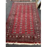 A Bokhara red ground rug, 246 x 152cm