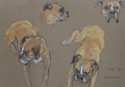 Jean Parry-Williams (1918-2010), pastel, Studies of a Boxer dog, 'Cindy', signed and dated 1975,