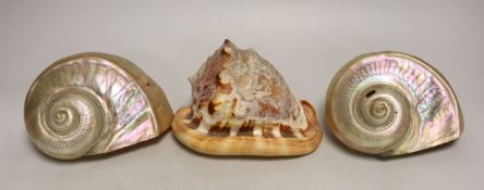 A 19th century Italian conch shell, engraved with grape picking and a town view, and a pair of