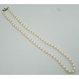 A Mikimoto single strand cultured pearl necklace, with sterling clasp, 48cm, with Mikimoto pouch.