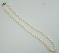 A Mikimoto single strand cultured pearl necklace, with sterling clasp, 48cm, with Mikimoto pouch.