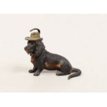 An Austrian cold painted bronze of a seated Dachshund wearing a hat