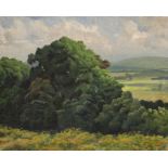 Modern British, oil on canvas, Trees in a landscape, label remnant verso, 40 x 50cm