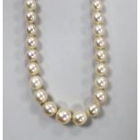 A single strand graduated cultured pearl necklace, with white metal clasp engraved 'Ciro' and '