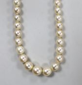 A single strand graduated cultured pearl necklace, with white metal clasp engraved 'Ciro' and '