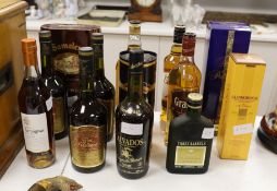 Thirteen bottles of various whisky, brandy and Armagnac, to include Glenfiddich, Glenmorangie,