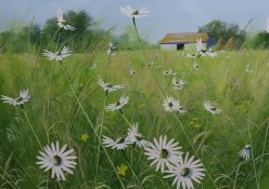 Paul Evans (1950-), gouache, 'Summer Meadow, Near Lewes', signed with artist receipt verso, 34 x