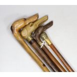 Four walking sticks: The first with carved horn dog‘s head handle, two with carved wood dogs head