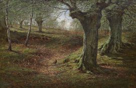 English School c.1900, oil on canvas, Pheasant in woodland, indistinctly signed, 40 x 60cm