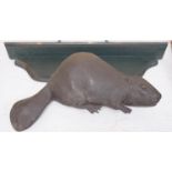 A bronze relief of a beaver and shaped green wall bracket