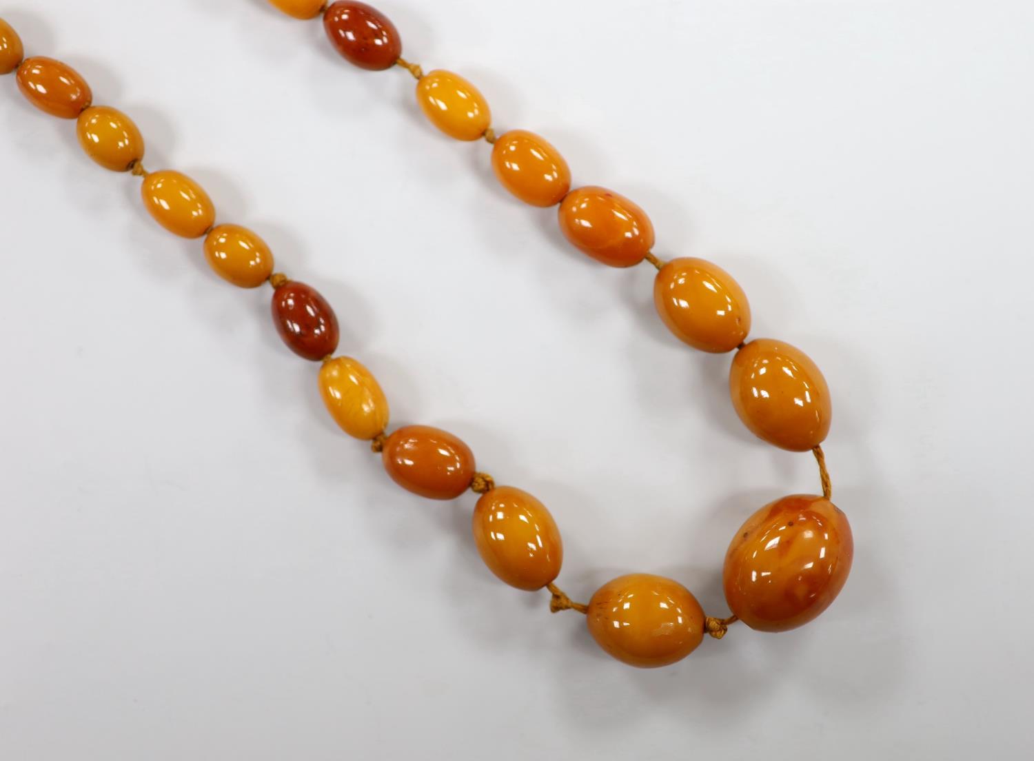 A single strand graduated amber bead necklace, 50cm, gross 31 grams.