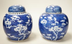 A pair of Chinese Blue and white prunus ginger jars. 15cm tall