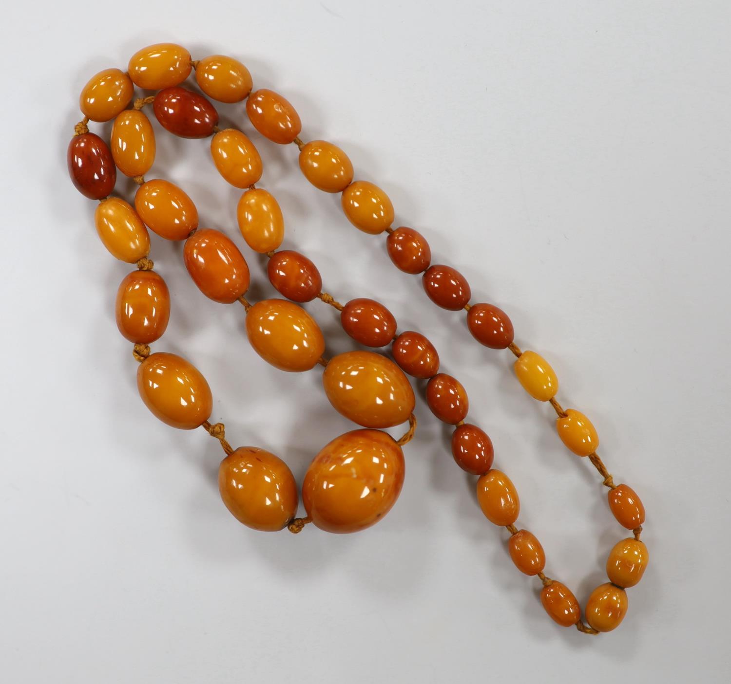 A single strand graduated amber bead necklace, 50cm, gross 31 grams. - Image 3 of 3