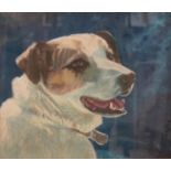 A. Jackson, pastel, Portrait of a dog, signed, 38 x 42cm