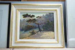 Russian School, oil on canvas, Pine tree on a hillside, signed, 20 x 26cm