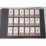 Cigarette and tea cards and loose stamps, including sets of British birds by Phillips, Ogdens and