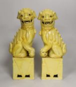 A pair of Chinese yellow glazed temple lion dogs 30cm