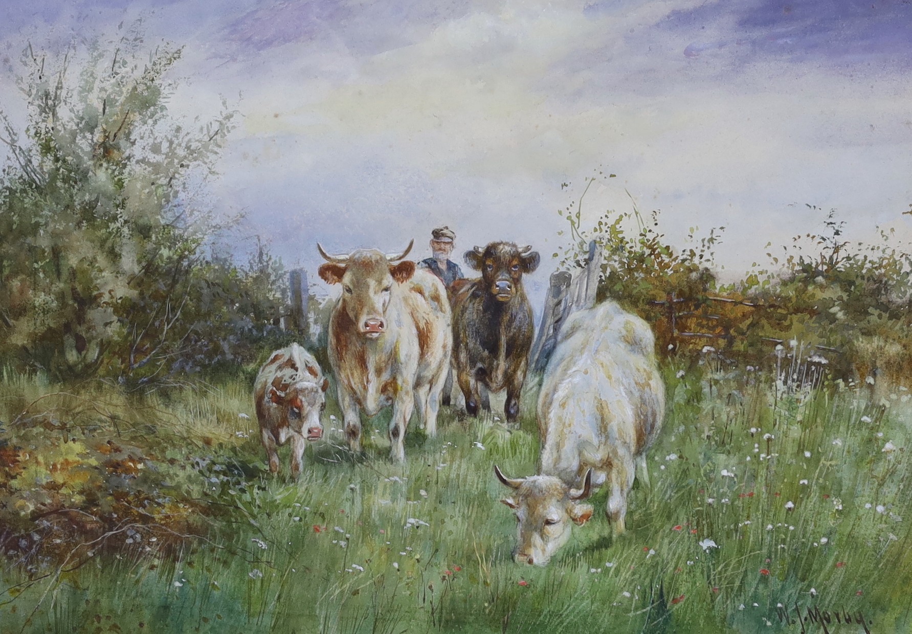 Walter J. Moreby (c.1900), watercolour, Cattle and drover, signed, 26 x 37cm
