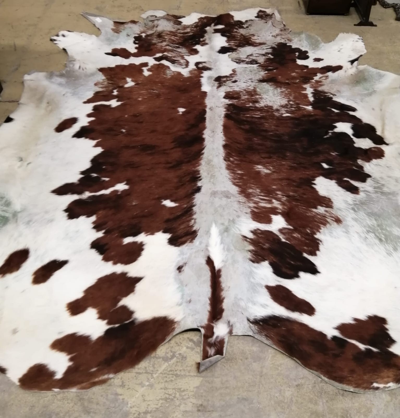 A cow hide rug, width 205cm - Image 6 of 6