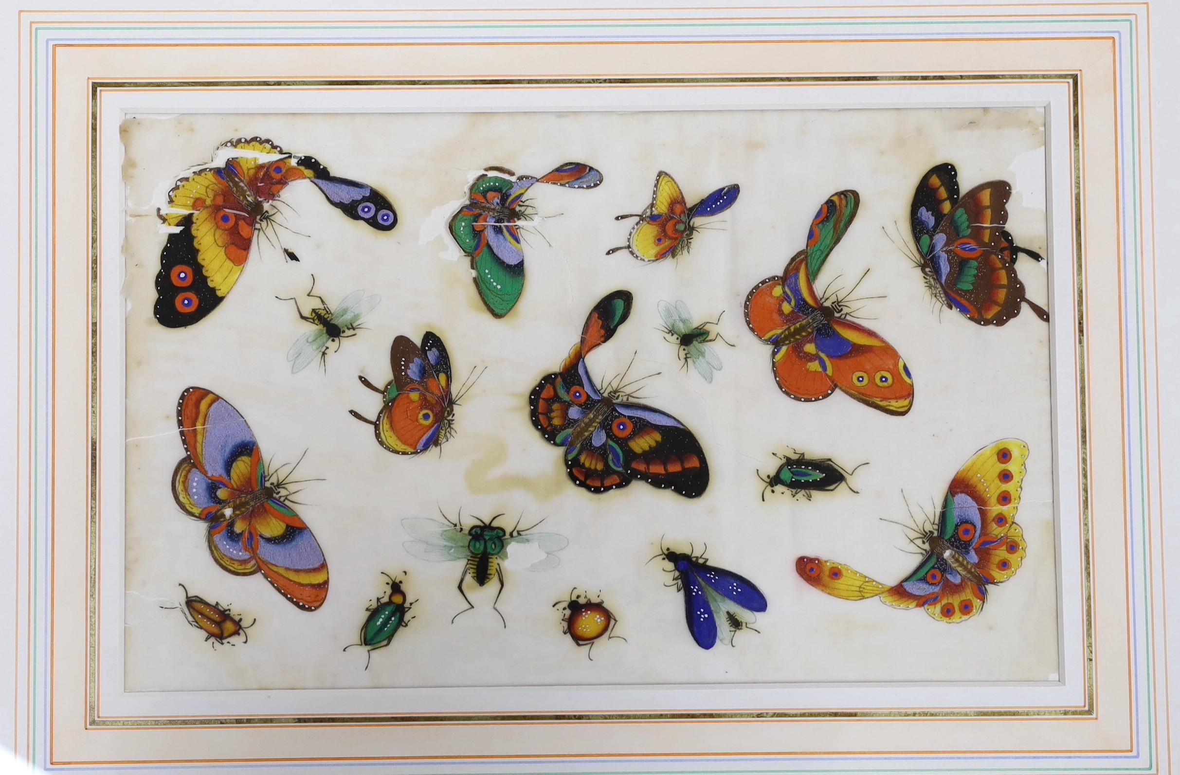 19th century Chinese School, pair of gouache on pith paper, Studies of butterflies, 19 x 30.5cm - Image 3 of 3