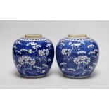 A pair of 19th centiury Chinese blue and white prunus jars, 13.5cms high