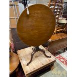 A George III mahogany circular tilt top tripod tea table, diameter 78cm, height 72cm