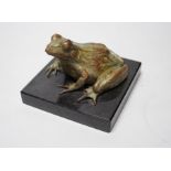 A Camilla Le May limited edition common rider frog bronze, model 5/9, 8cm tall