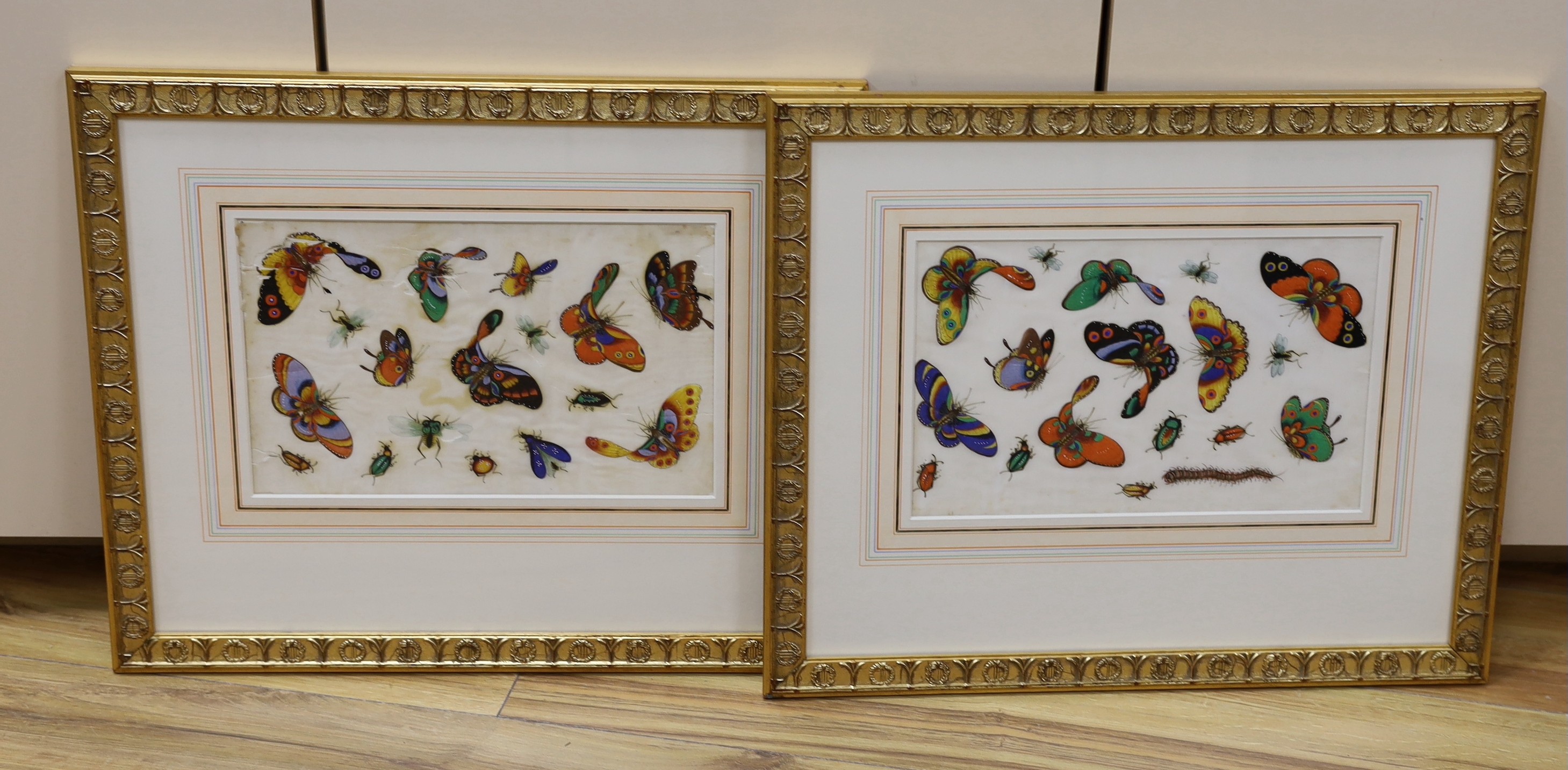 19th century Chinese School, pair of gouache on pith paper, Studies of butterflies, 19 x 30.5cm