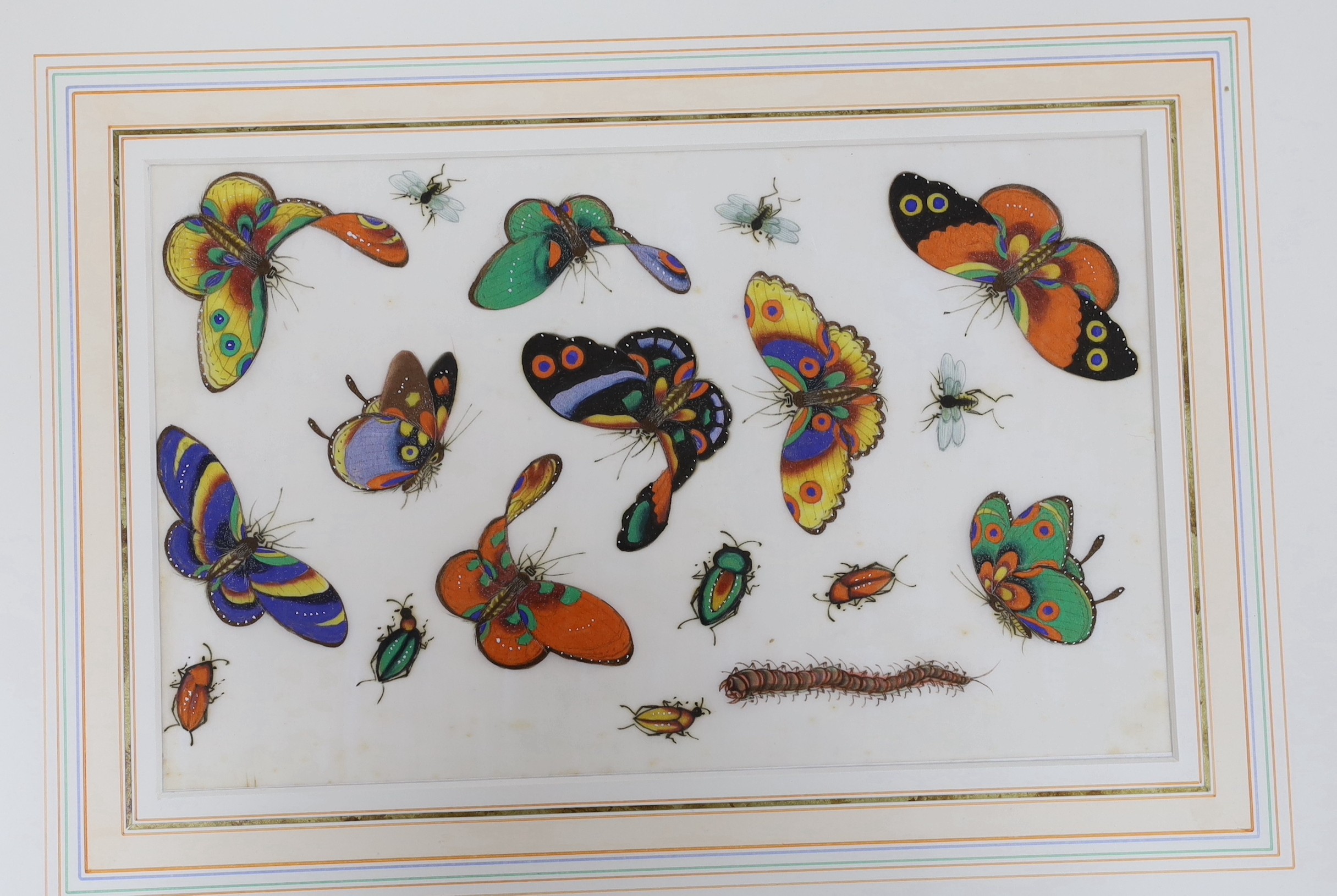 19th century Chinese School, pair of gouache on pith paper, Studies of butterflies, 19 x 30.5cm - Image 2 of 3