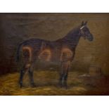 Manner of Frances Mabel Hollams, oil on canvas, Portrait of a horse 'Mystery' in a stable, signed