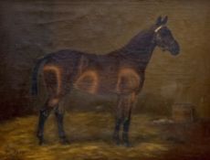 Manner of Frances Mabel Hollams, oil on canvas, Portrait of a horse 'Mystery' in a stable, signed