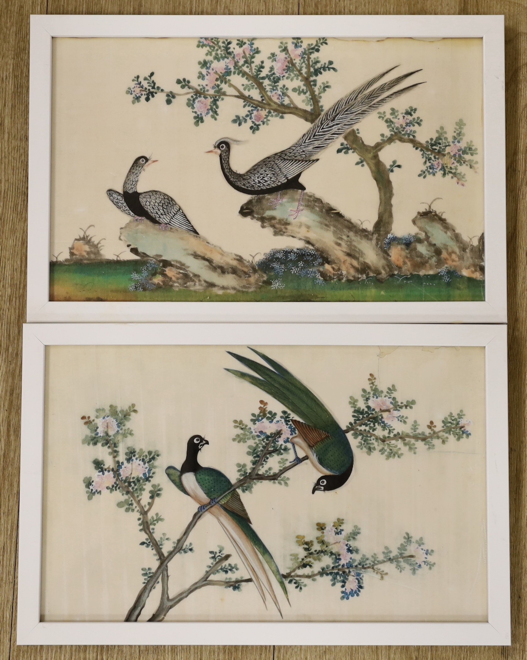 19th Century Chinese School, two gouaches on pith paper, studies of birds, 19 x 30cm