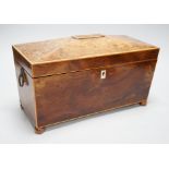 A Regency burr yew tea caddy (partly sun-bleached). 33cm wide Ivory submission reference: 1JYSY7TC