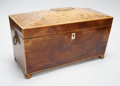 A Regency burr yew tea caddy (partly sun-bleached). 33cm wide Ivory submission reference: 1JYSY7TC