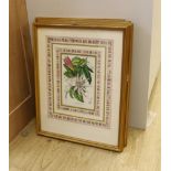 A set of four Victorian hand coloured lithographs of exotic garden flowers, 23 x 15cm