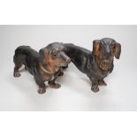 A pair of Austrian cold painted terracotta models of Dachshunds, one paw damaged, inset glass eyes