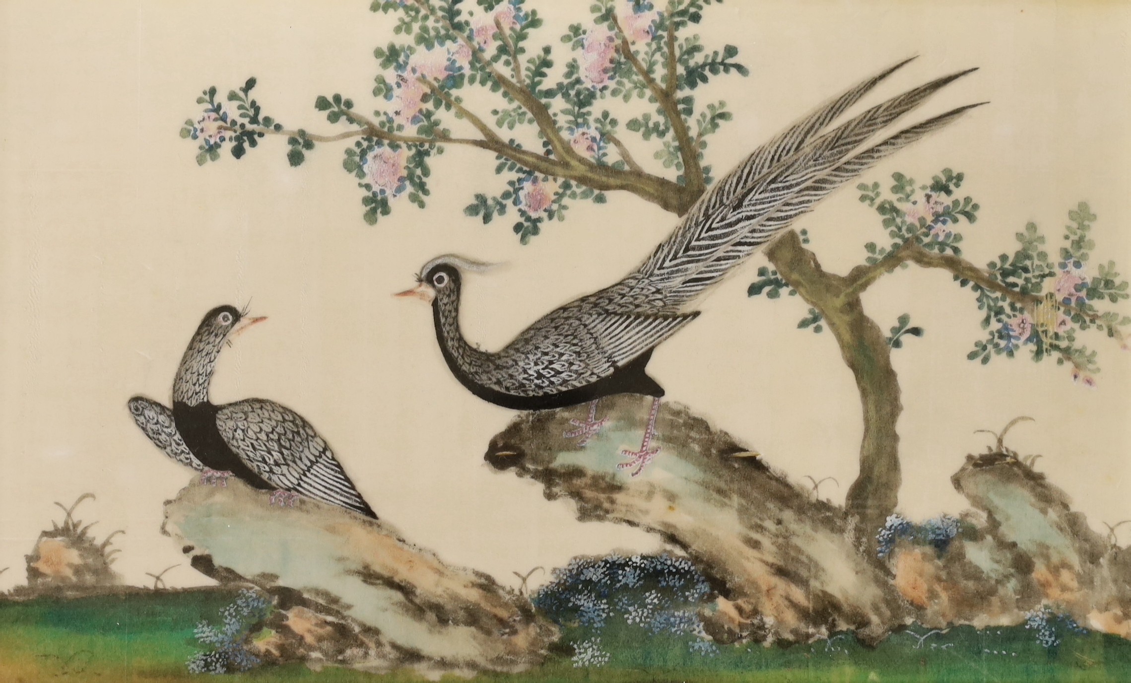 19th Century Chinese School, two gouaches on pith paper, studies of birds, 19 x 30cm - Image 2 of 3