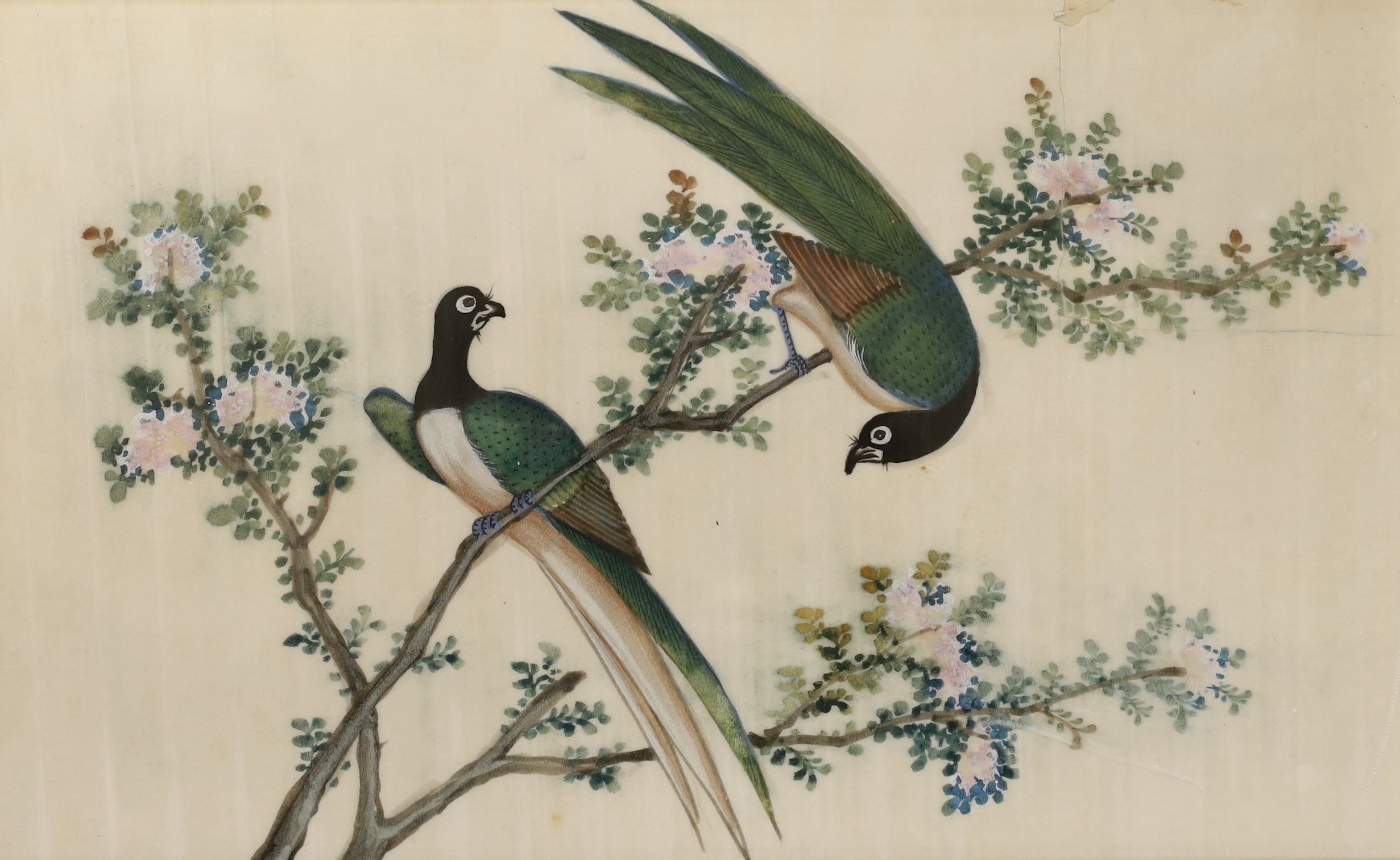 19th Century Chinese School, two gouaches on pith paper, studies of birds, 19 x 30cm - Image 3 of 3